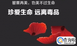 个人可以种植罂粟花吗