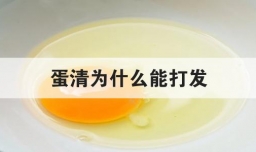 蛋清为什么能打发