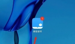 微信读书怎么查看读书小队