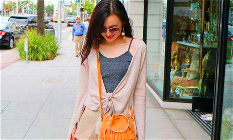 貌似是什么意思