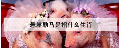 悬崖勒马是指什么生肖