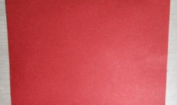 幼儿园手工剪纸—一朵小花