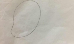 画芒果的简笔画