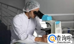 哪个专业最苦逼？前辈血泪吐槽留学各大专业