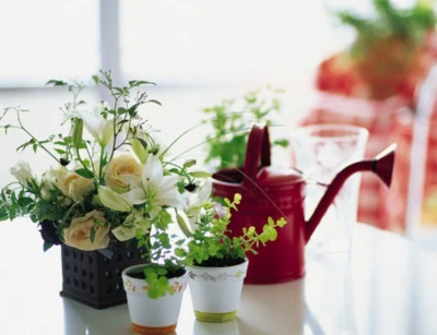 过期鱼油能做什么用途