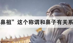 鼻祖这个称谓和鼻子有关系吗