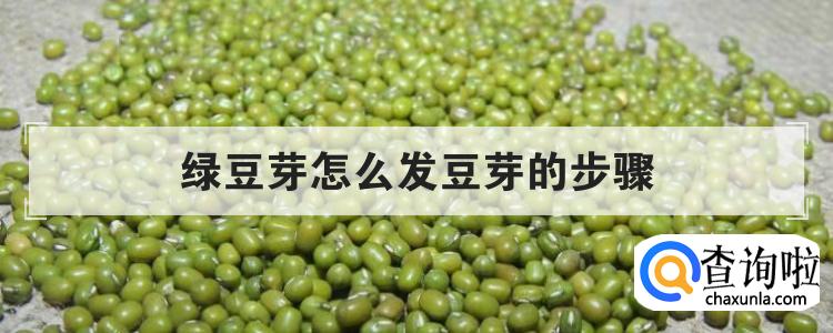 绿豆芽怎么发豆芽的步骤