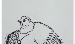 怎样用钢笔画“母鸡孵小鸡”？