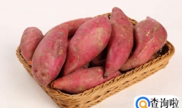 自己怎么种红薯 房顶种红薯