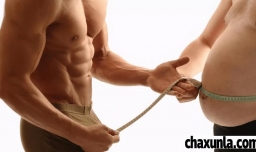 什么锻炼能消除啤酒肚