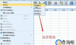 如何在SPSS软件中绘制饼图