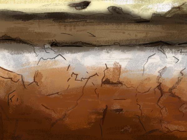 土壤分为哪几层