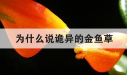 为什么说诡异的金鱼草