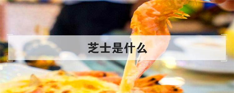 芝士是什么
