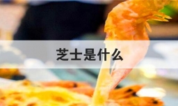 芝士是什么