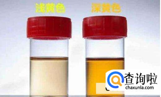 如何区别寒湿与湿热这两种不同的体质