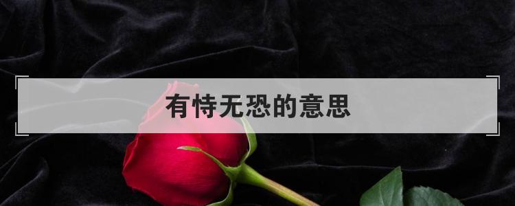 有恃无恐的意思