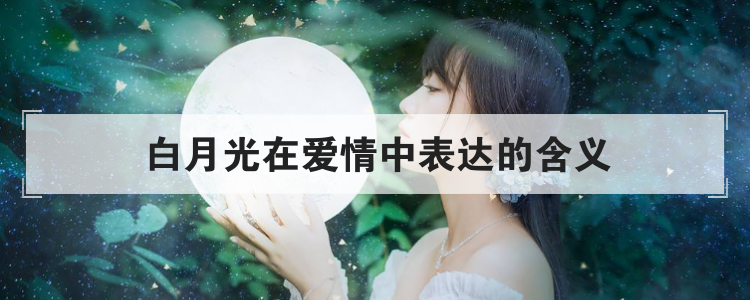 白月光在爱情中表达的含义