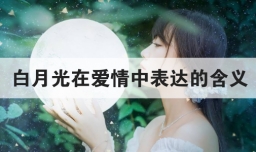 白月光在爱情中表达的含义