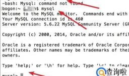 如何在mysql控制台中查看数据库表