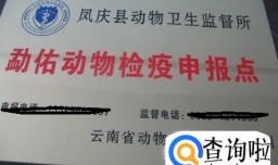 宠物托运如何办理动物检疫证明