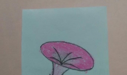 简笔画：油画棒画花朵步骤