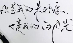 朱砂痣代表什么感情？