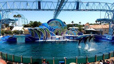 vacation是什么意思