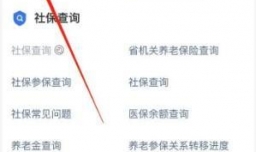 丹东医保如何网上缴费