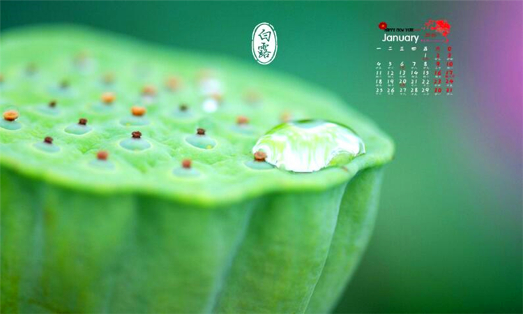 白露是什么季节