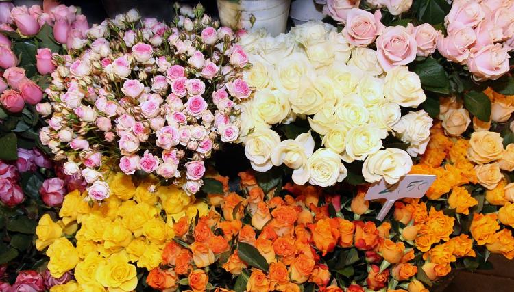 感恩节送礼物的含义？感恩节给朋友送什么礼物好？