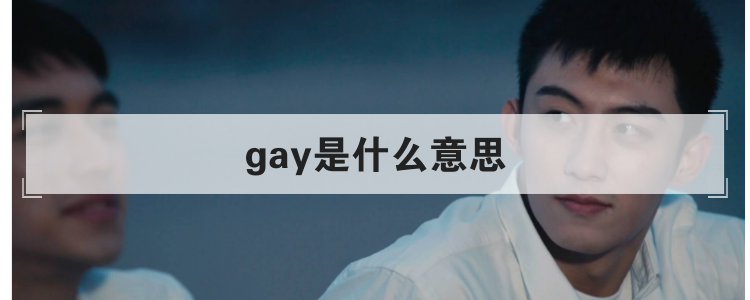 gay是什么意思