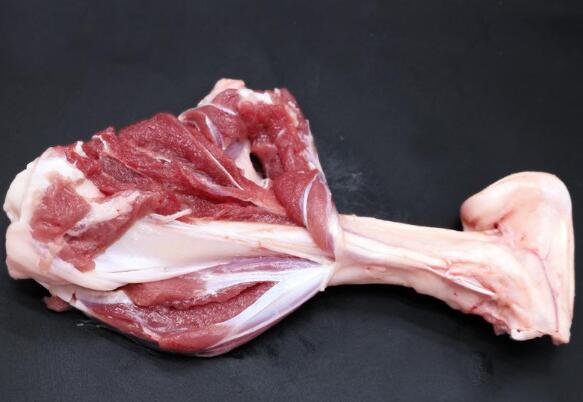 筒子骨前腿和后腿区别