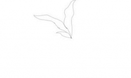 胡萝卜简笔画怎么画