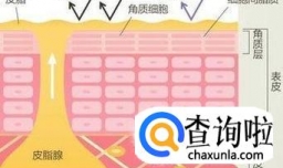 细讲痘痘形成的原因