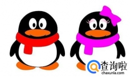 怎么让QQ长期显示手机在线