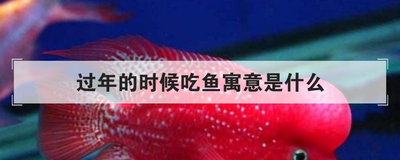 过年的时候吃鱼寓意是什么