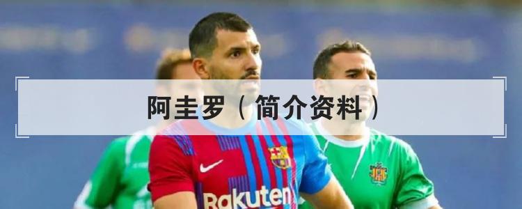 阿圭罗（简介资料）