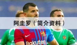 阿圭罗（简介资料）