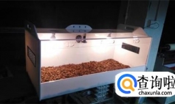 苏卡达陆龟怎么养