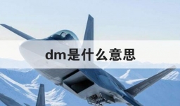 dm是什么意思