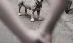 嫁给爱情的女明星后来的生活都怎么样了？