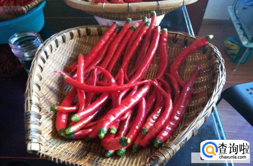 教你腌制火烧小米辣