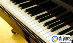 新人学弹钢琴的技巧与步骤