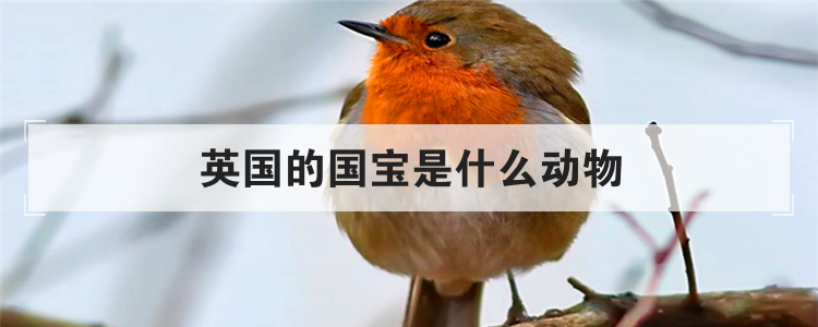 英国的国宝是什么动物