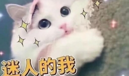 求一些撩人的土味情话呀