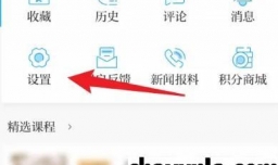 澎湃新闻app如何查看版本