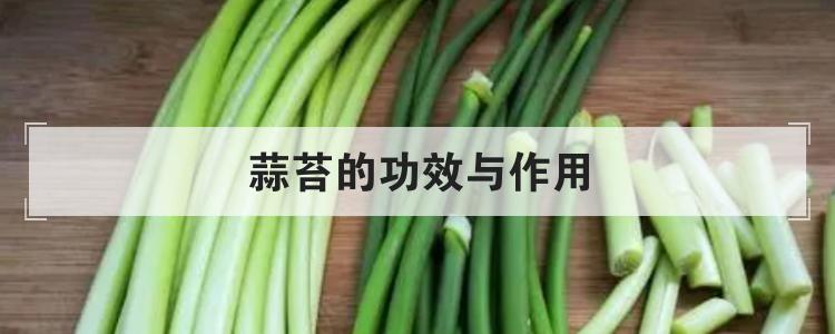 蒜苔的功效与作用br
