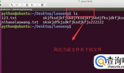 Ubuntu系统中如何运用ls命令