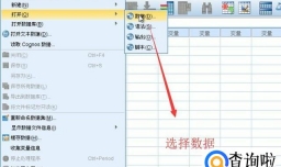 如何在SPSS中进行交叉表分析